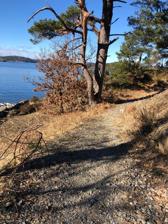 Apartmán Sjonaer Idyll Kristiansand Exteriér fotografie