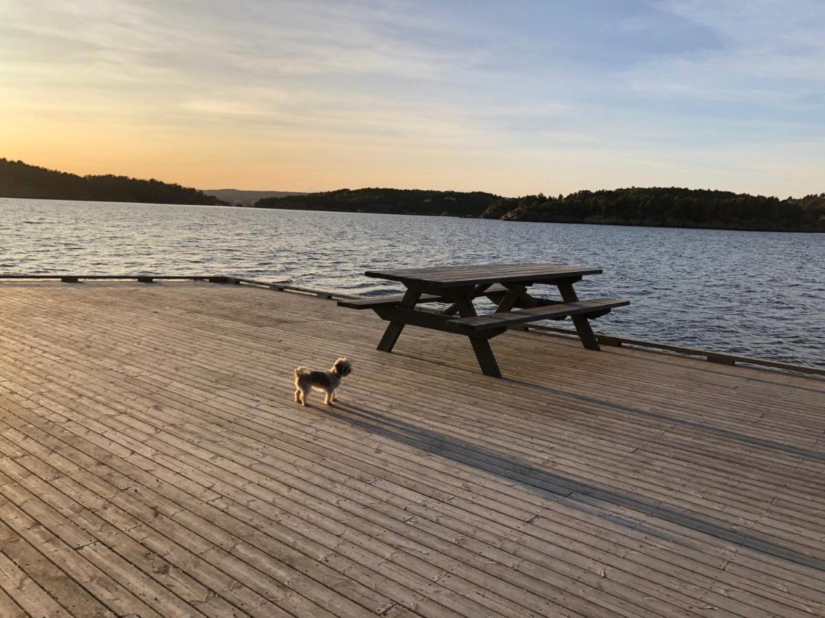 Apartmán Sjonaer Idyll Kristiansand Exteriér fotografie